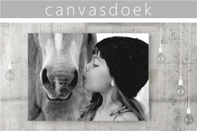 Canvasdoek