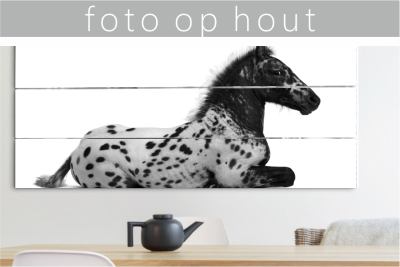 Foto op Hout