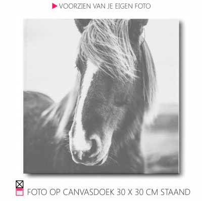 Happy Canvasdoek interieur horse black and white photo pferde pony foto happy stable