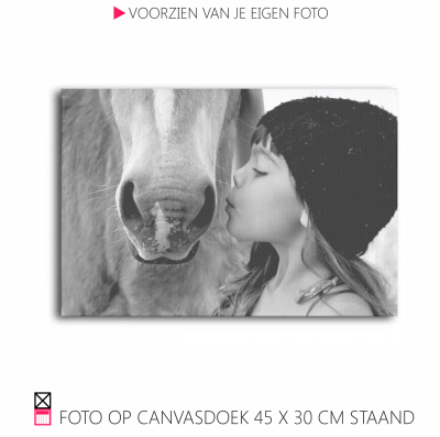 Happy Canvasdoek interieur horse black and white photo pferde pony foto happy stable