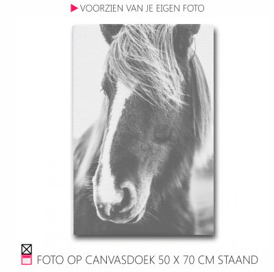 Happy Canvasdoek interieur horse black and white photo pferde pony foto happy stable