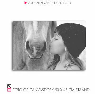 Happy Canvasdoek interieur horse black and white photo pferde pony foto happy stable