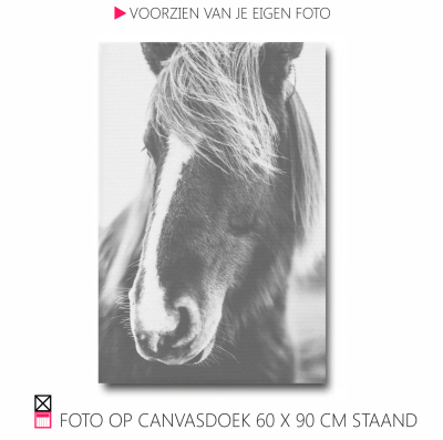 Happy Canvasdoek interieur horse black and white photo pferde pony foto happy stable