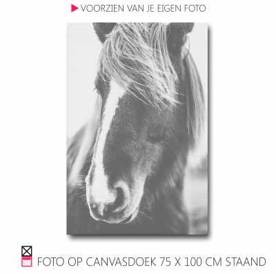 Happy Canvasdoek interieur horse black and white photo pferde pony foto happy stable