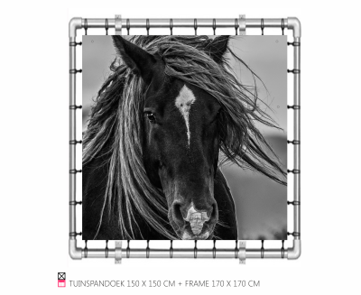 Tuinspandoek met aluminium frame Banner   frame mooi voor in de tuin happy stable paard pony cob shetlander pferder horse photo foto