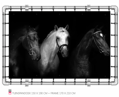 Tuinspandoek met aluminium frame Banner   frame mooi voor in de tuin happy stable paard pony cob shetlander pferder horse photo foto